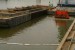 USA: Environmentalists Against Hayden Island Dump Site