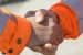 BAM Sells Van Oord Stake (The Netherlands)