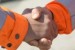 Van Oord Inks Dredging Deal with Liberian Government