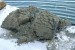 USA: Council OKs Sterne Lake Dredging Funds