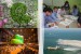 CEDA: Objectives for 2012 (The Netherlands)