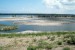 USA: TPA Completes Environmental Restoration Project at Cockroach Bay
