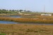 USA: Corps Takes Comments on Santa Ana River Marsh Study